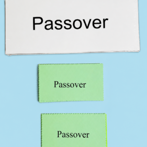 Passover Package
